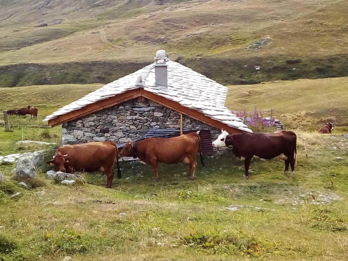 טרמיניון Les Balcons Proche Parc National Vanoise Appartements 2 Pieces 6 Pers Montagne Superieur מראה חיצוני תמונה