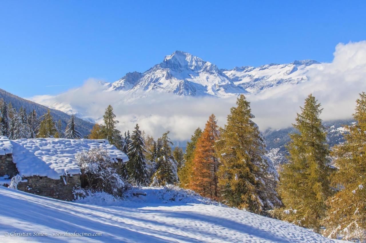 טרמיניון Les Balcons Proche Parc National Vanoise Appartements 2 Pieces 6 Pers Montagne Superieur מראה חיצוני תמונה
